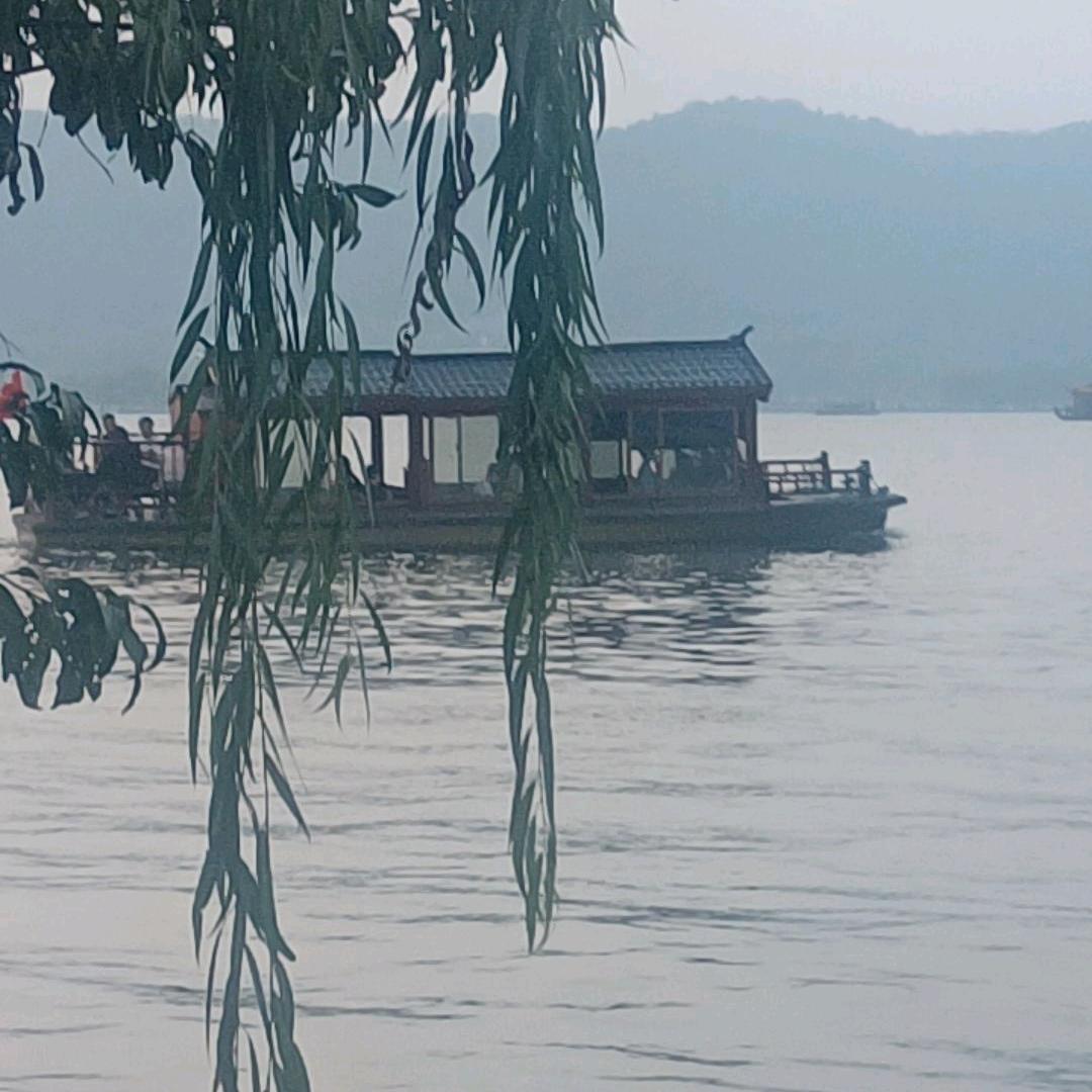 淡淡的忧伤谁懂