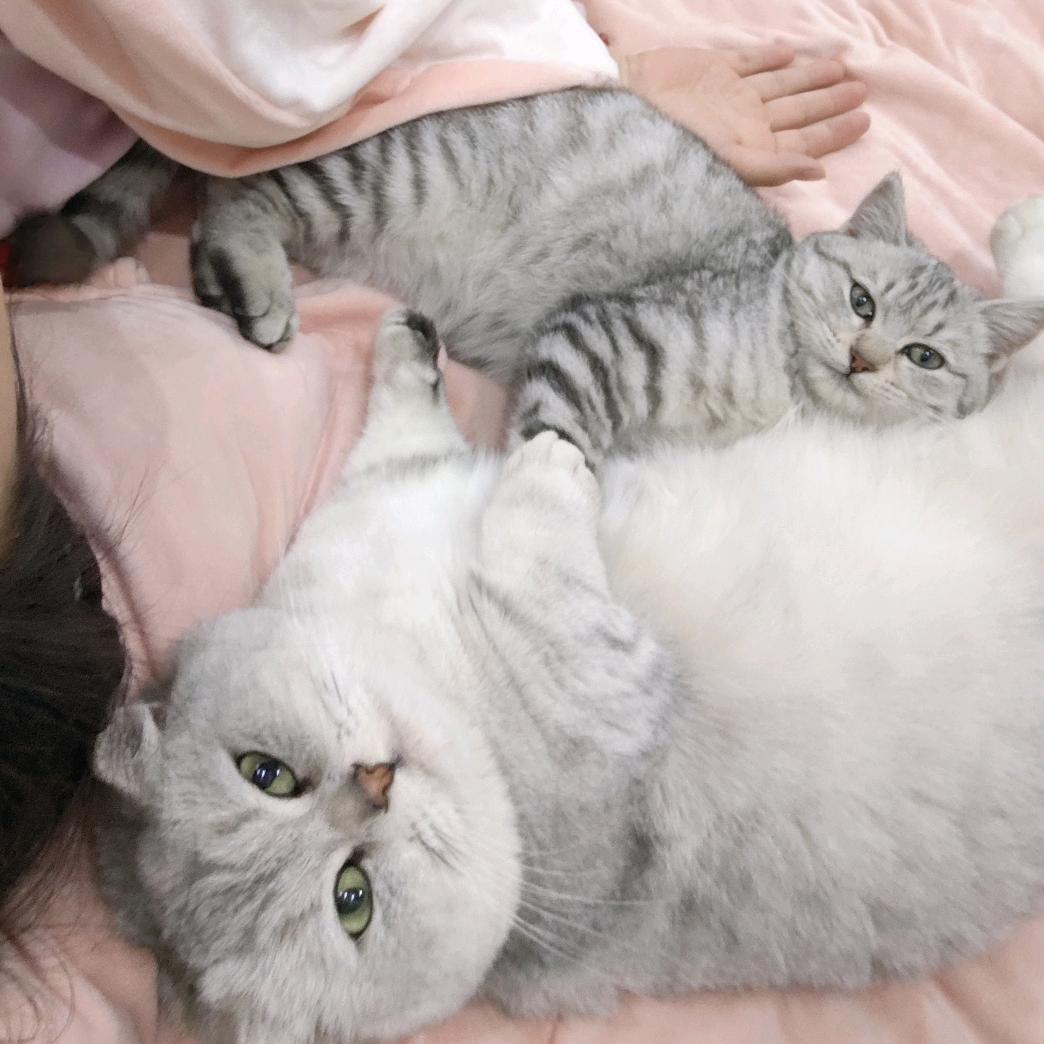 好运加满⁺¹⁰⁰