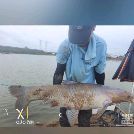 钓鱼人建华🎣