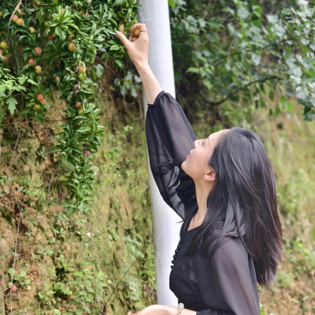 发光小杨姐
