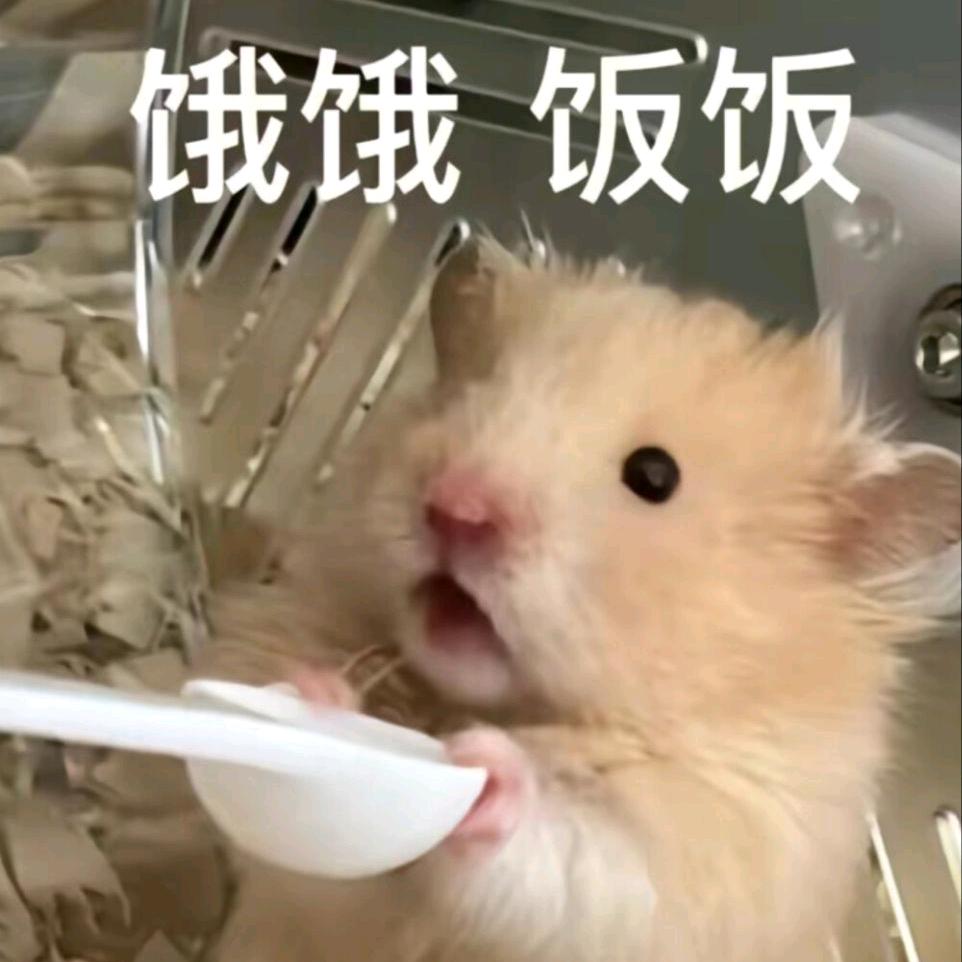 呃呃呃