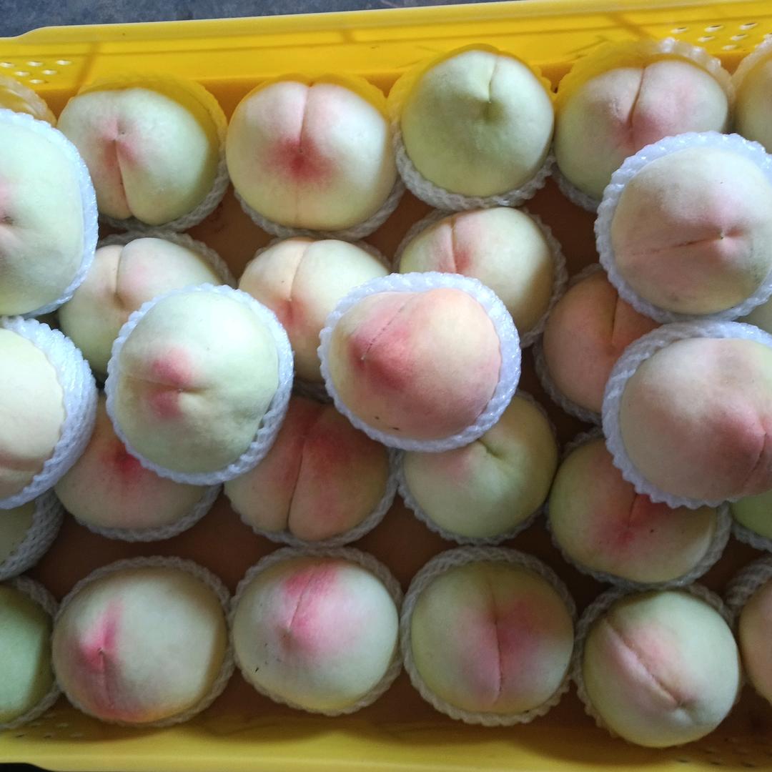姚大妮