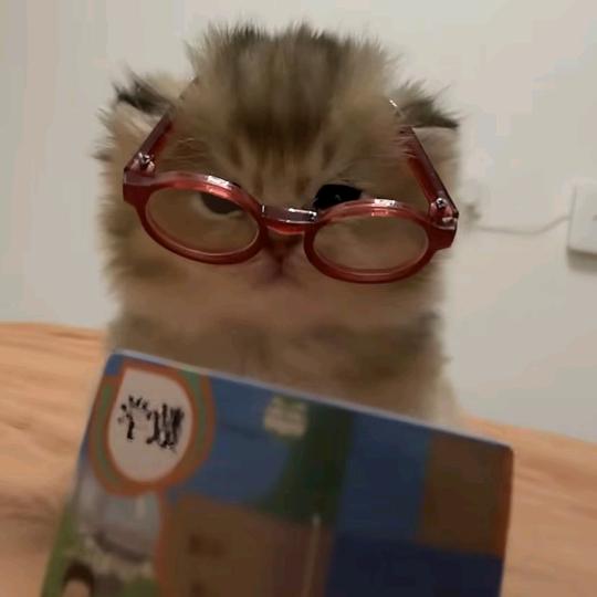 一发出金.⊹˖ᯓ★. ₊