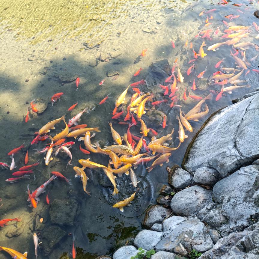 彩绘/手绘/墙绘/地绘/雕塑/路面改色