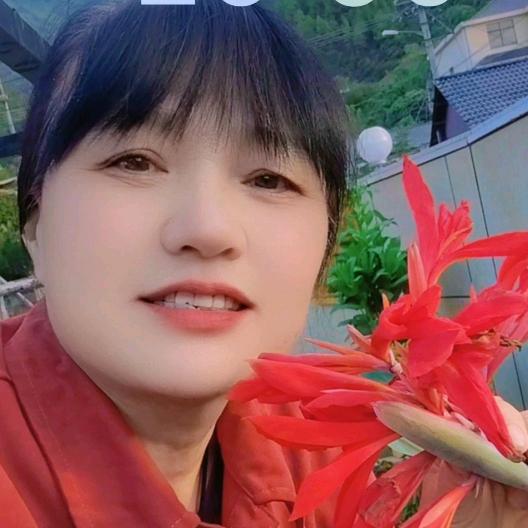 春暧花开