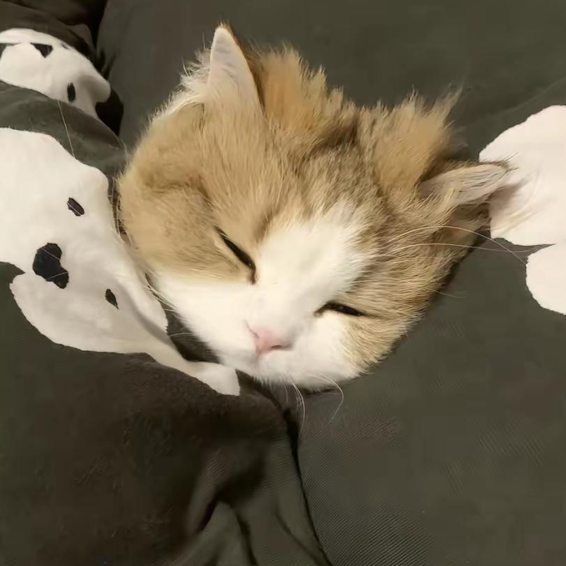 于霜