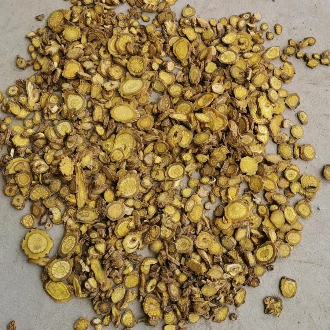 黄芩