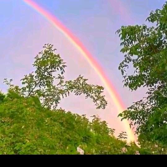 彩虹🌾🌾