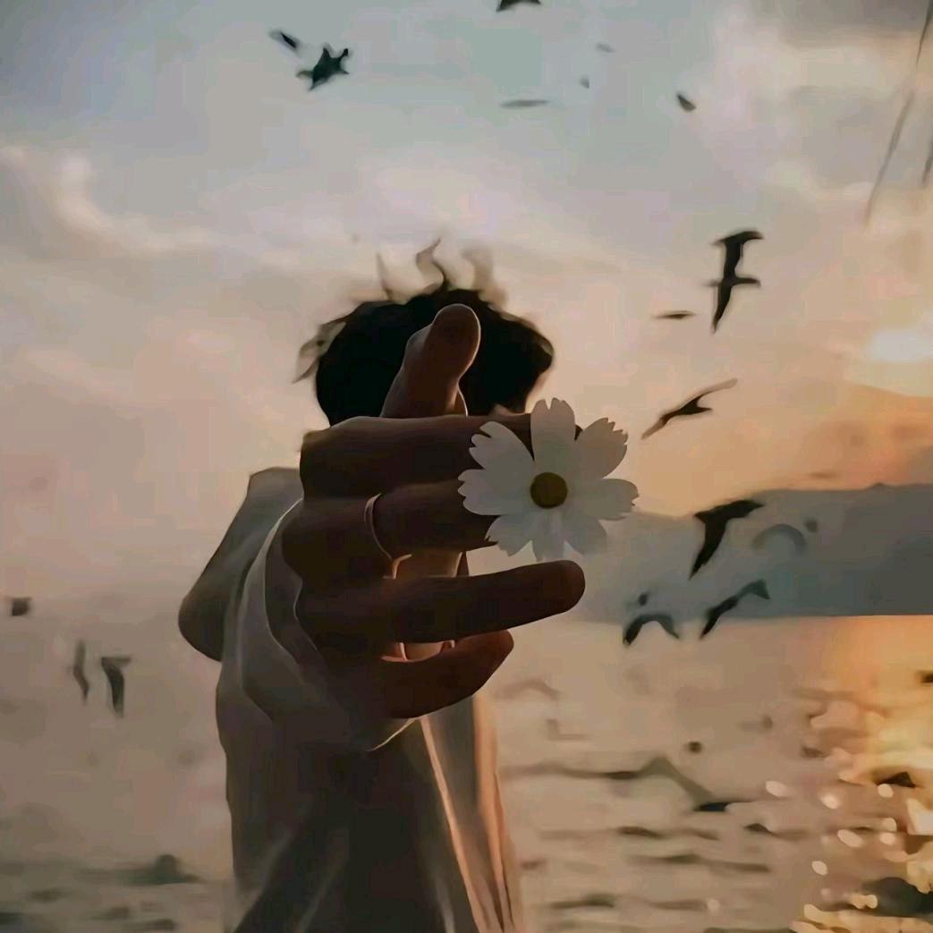 沉雪.（摆烂中）