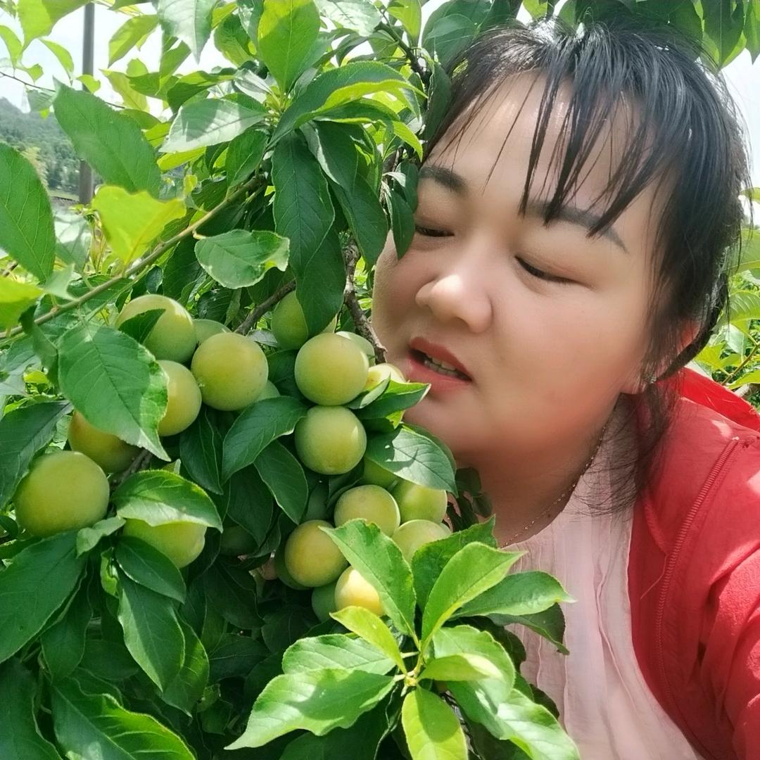 🍎紅善🥑