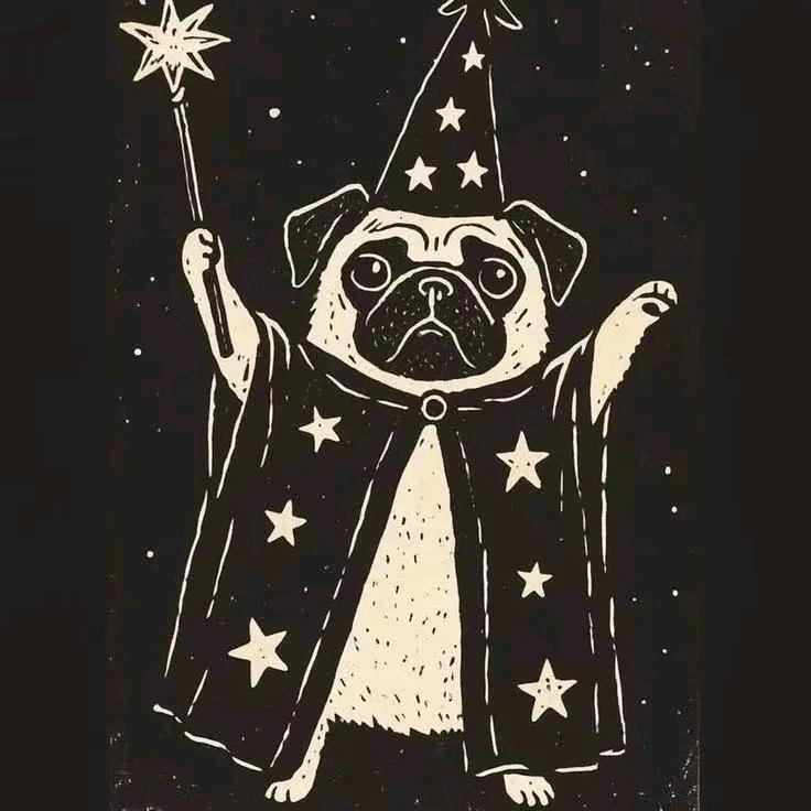 Frank（雅思版）