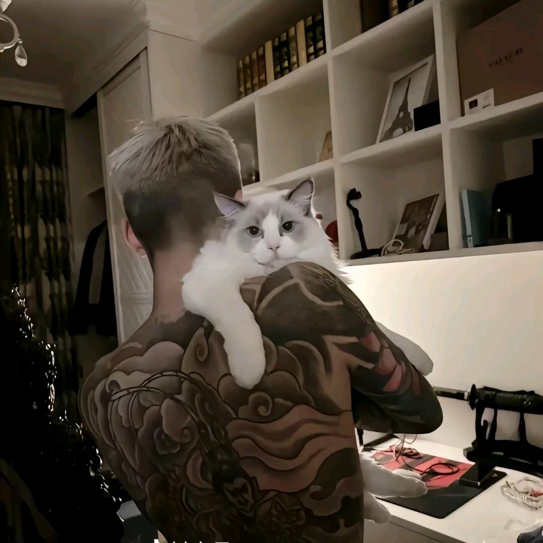 Aɢᴀɪɴ.