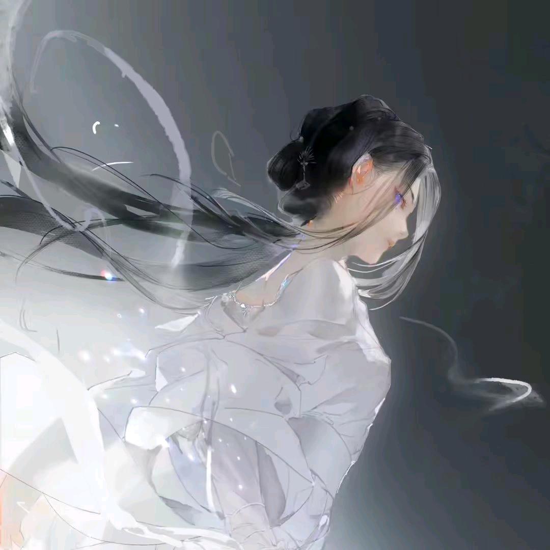 君子好逑°(鸣潮)