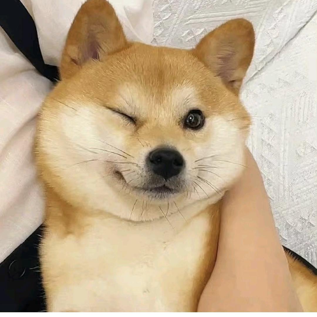 听说网名长不会重👻