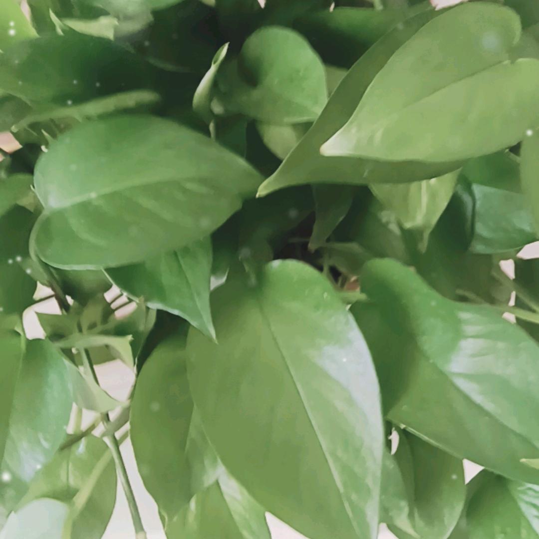 余生好好善待自己