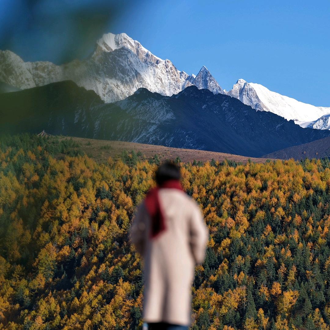 可乐旅行記📷