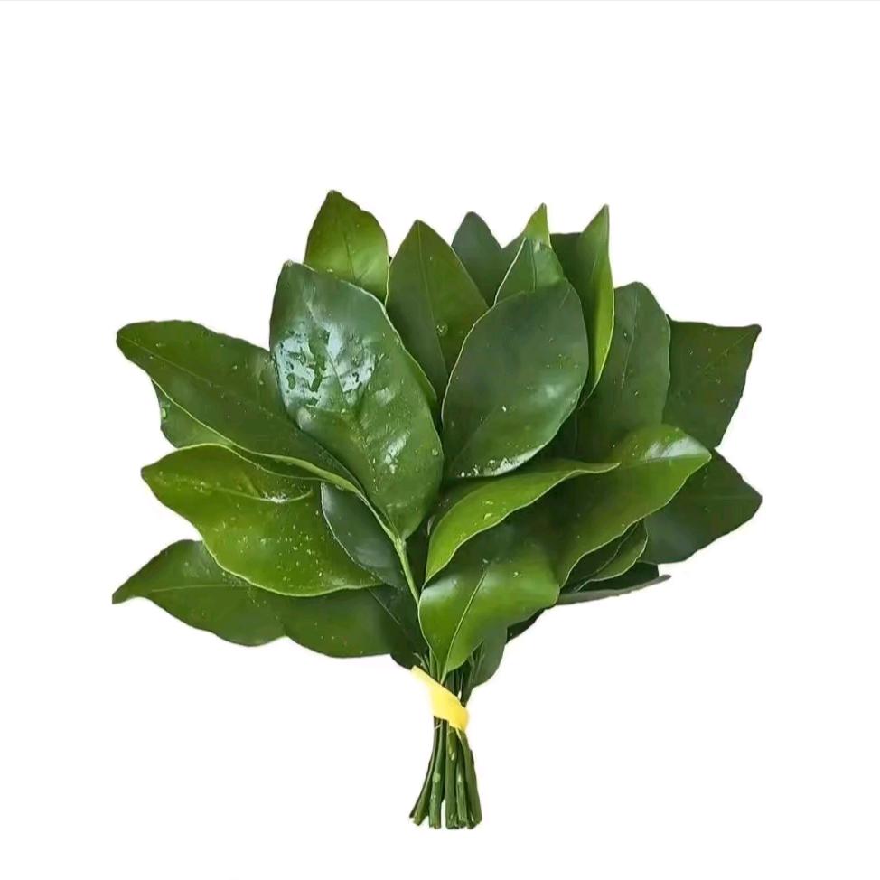 一吃就胖小翟（橱窗营业中）