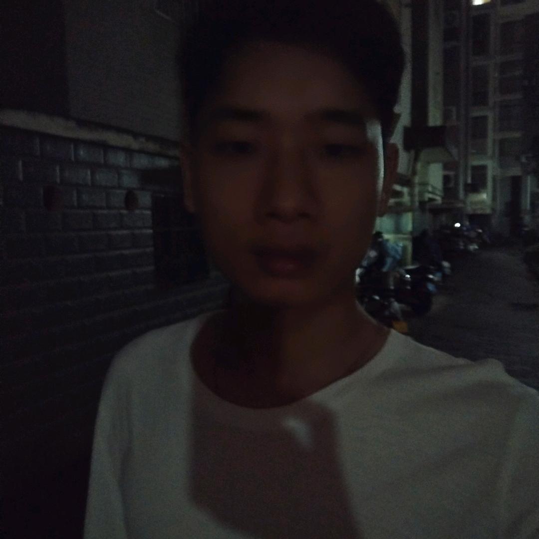 何仔仔