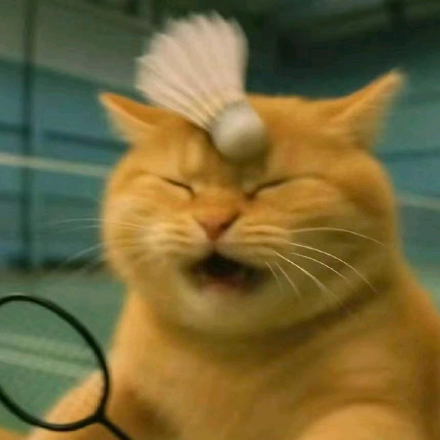 偷偷看日落_