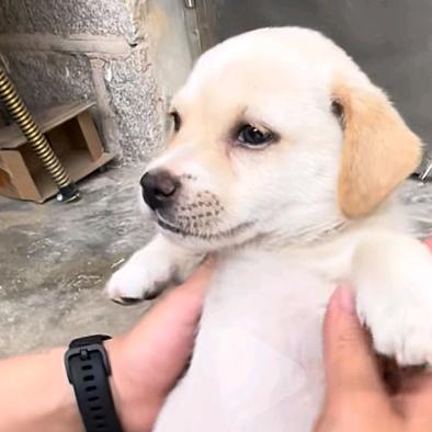 单机游戏