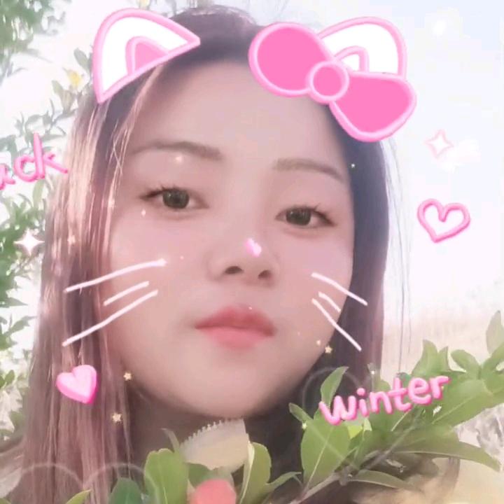 水果批发