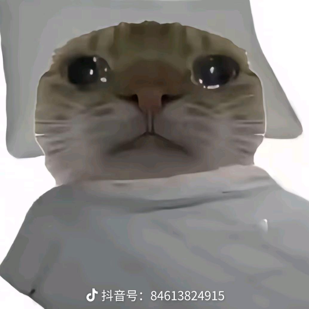 陈晨辰宸沉