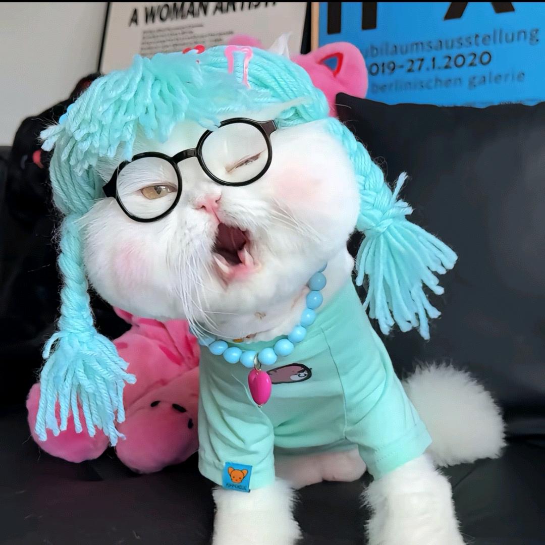 小刁睡不醒