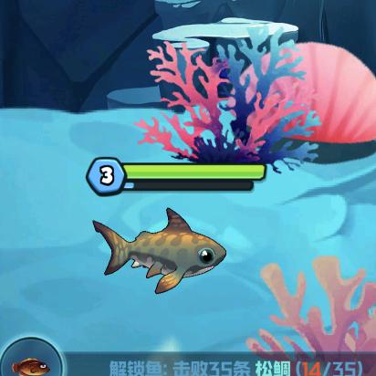 可爱的虎鲨在阿拉伯海