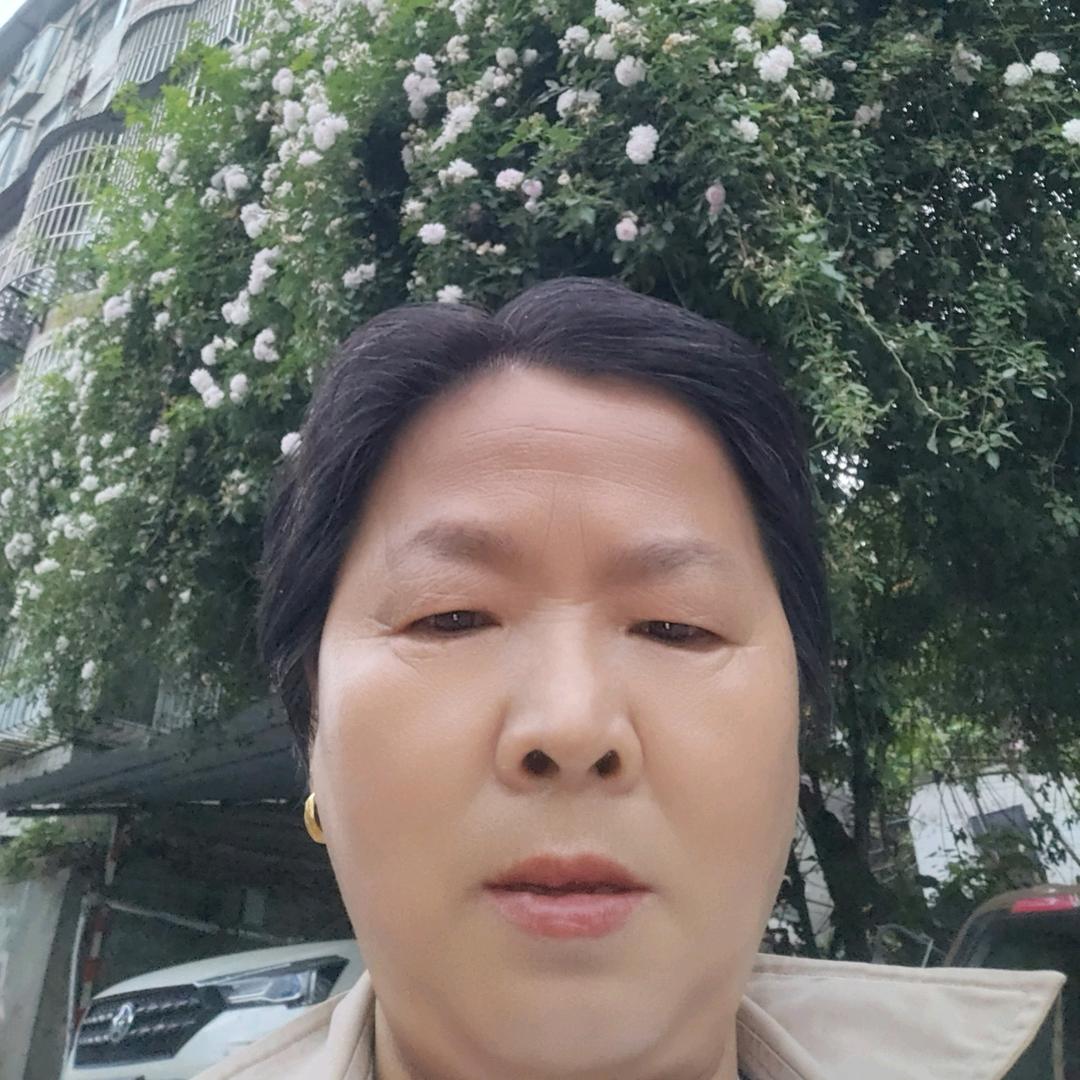 朱姐