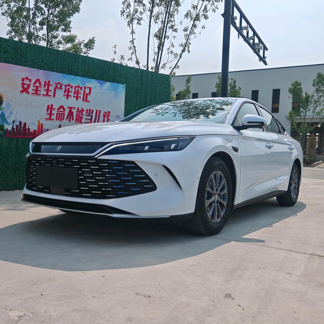 比亚迪秦L车主_大林