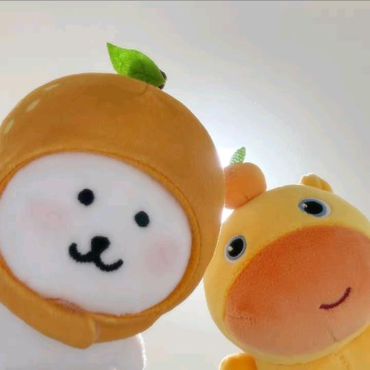 冬遇小宁