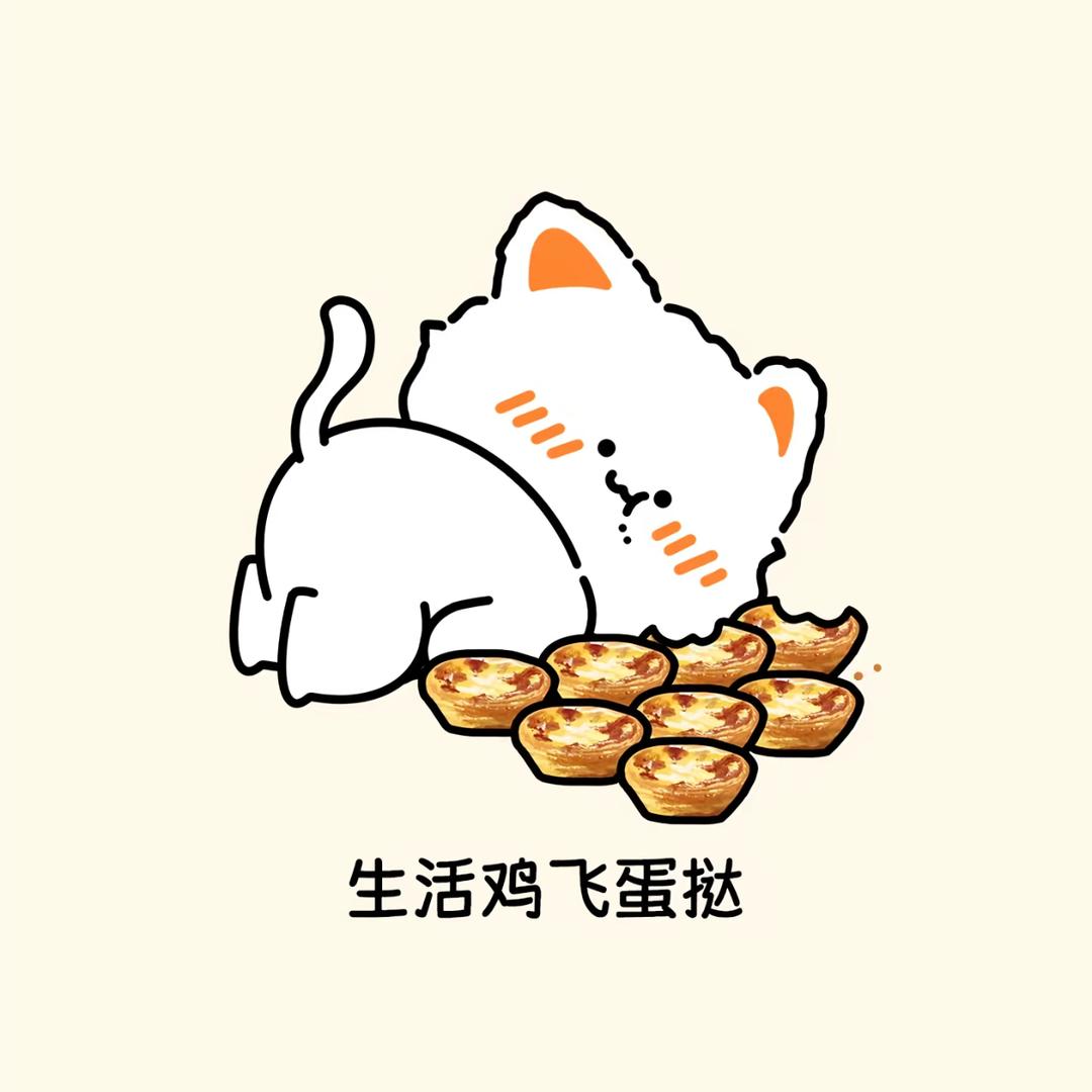 南宫不NG
