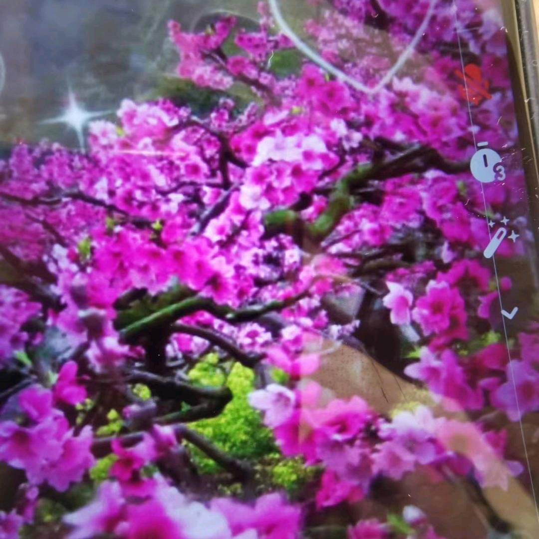 ，春暖花开