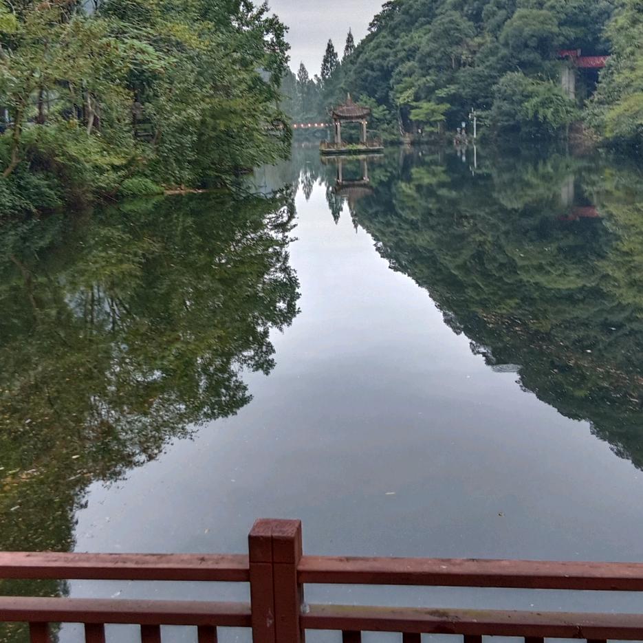 慢慢忘记