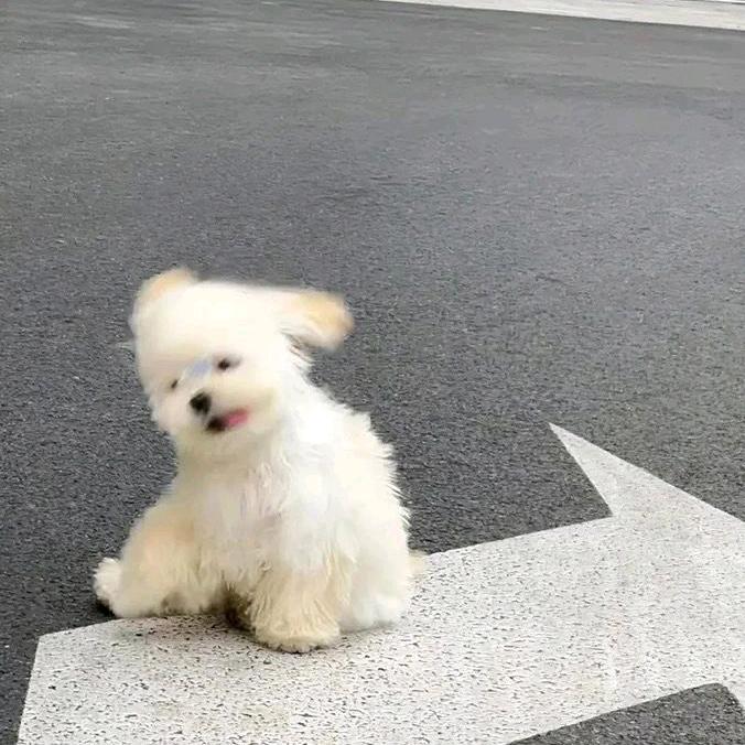 蜡笔莘依🖍️