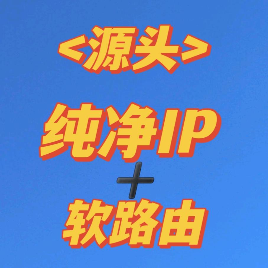 纯净IP/软路由/源头