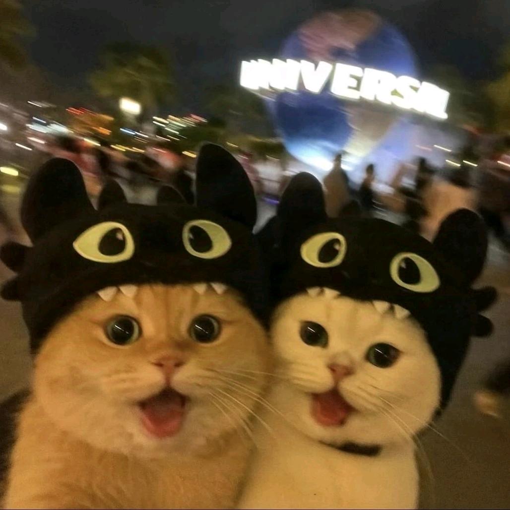 @_22