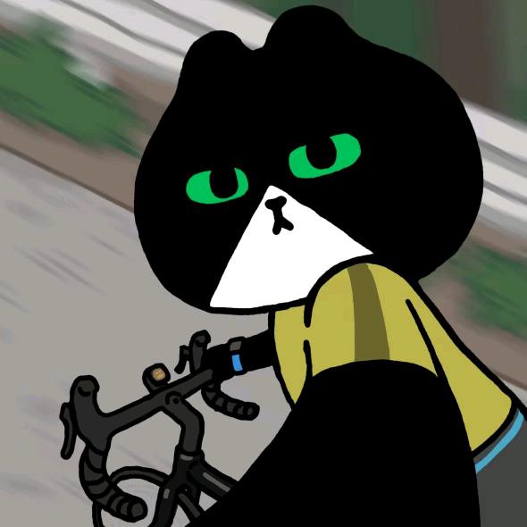 江西南昌UCC运动自行车