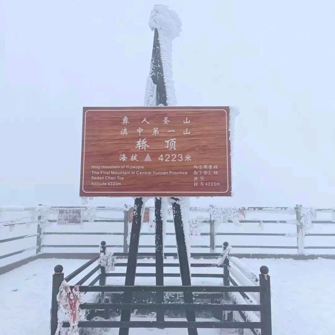 轿子雪山纯玩旅游