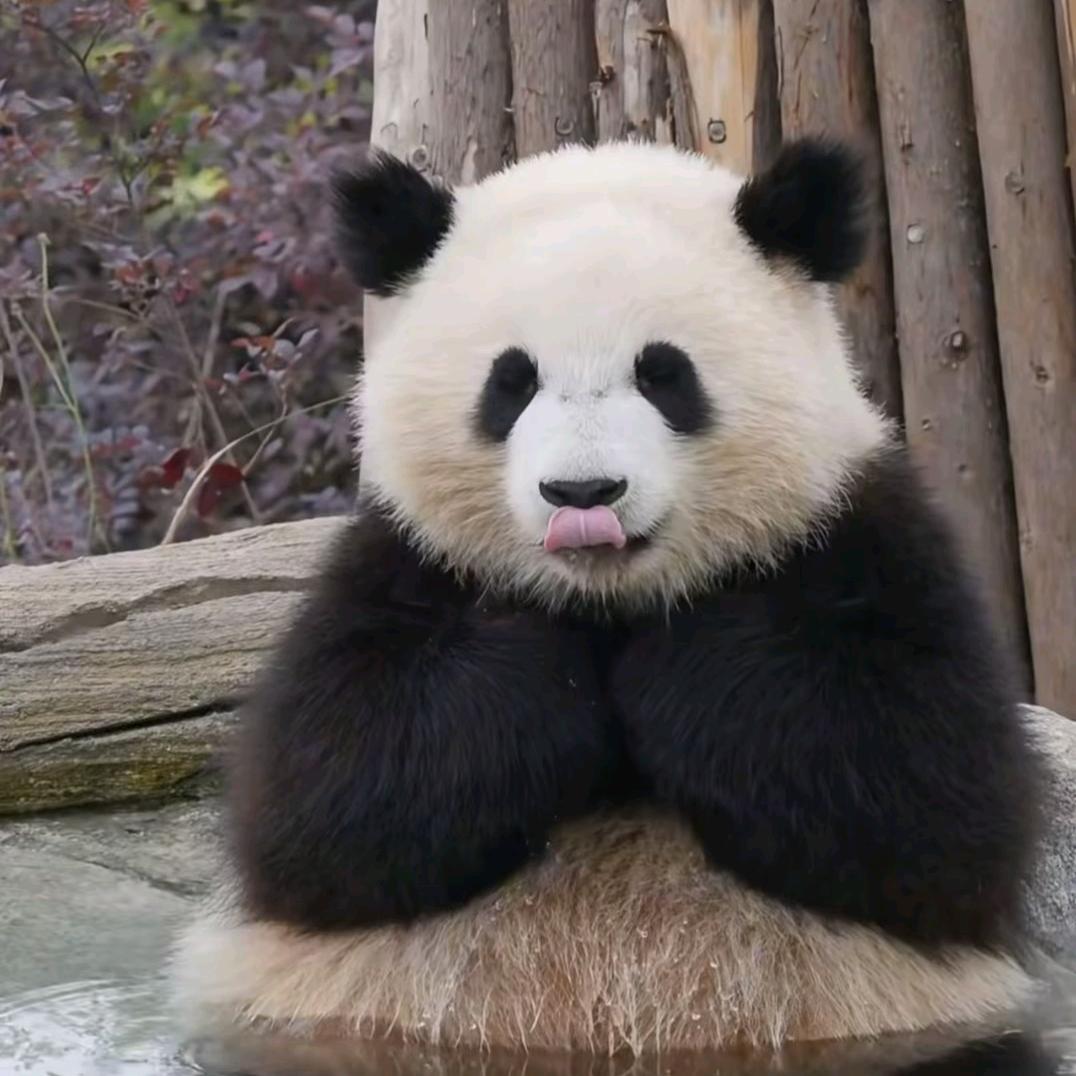 福