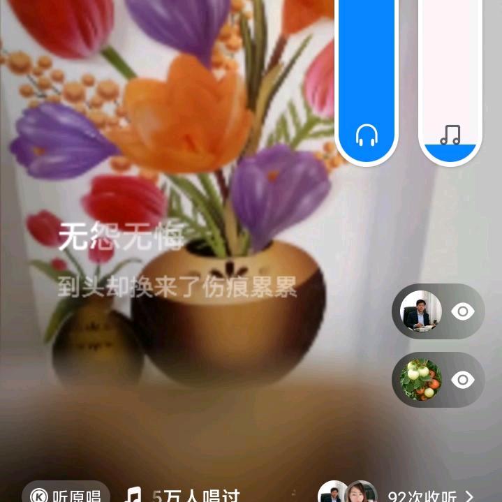 杨利利