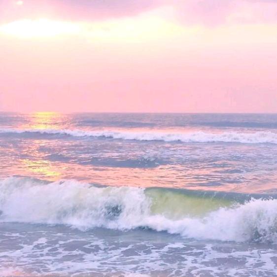 爱吃沙拉酱的一只ET