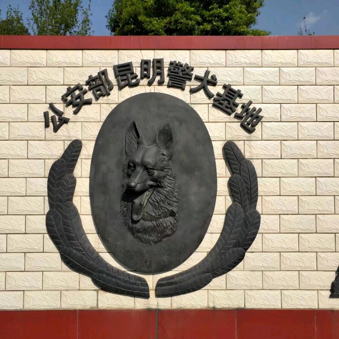 训犬小刘哥