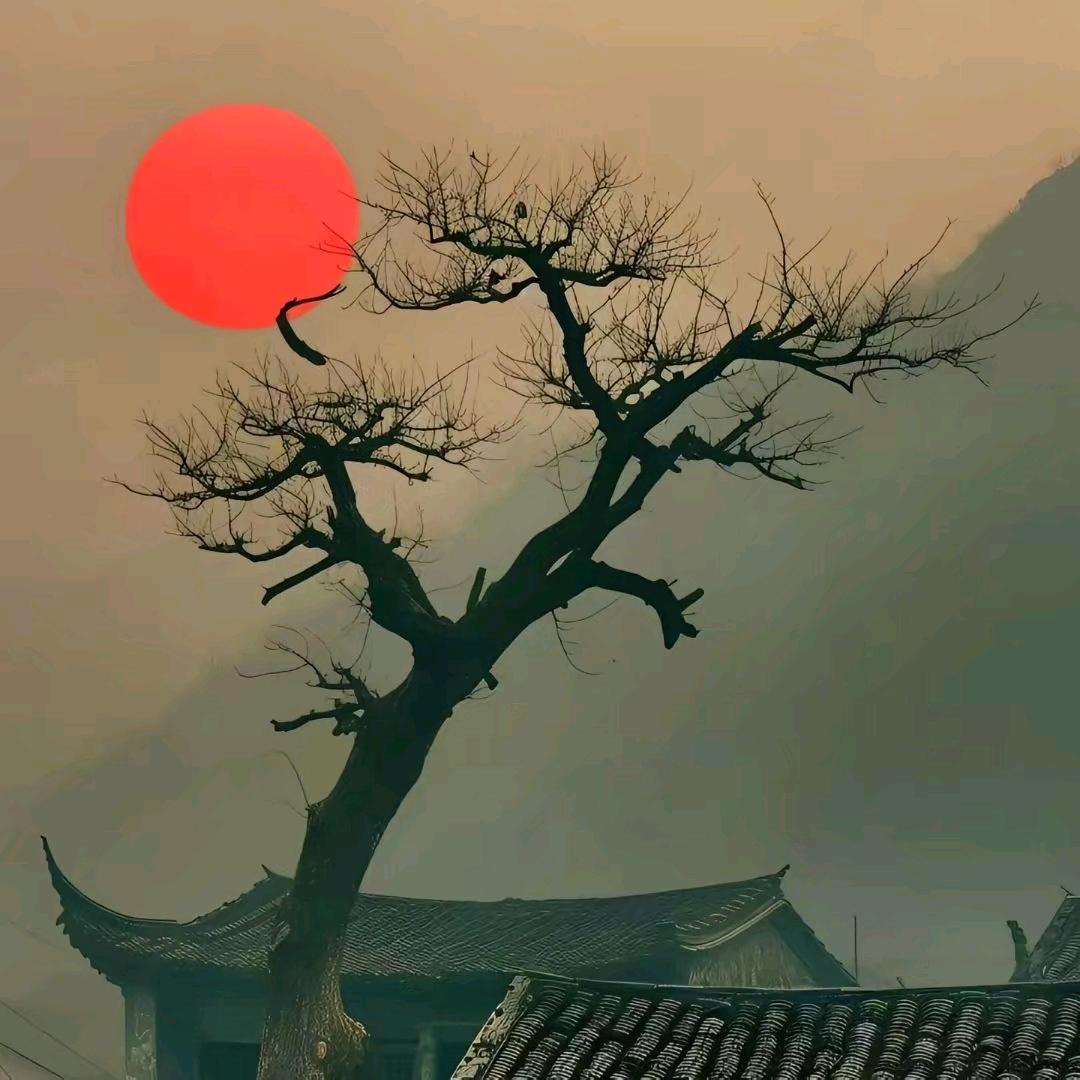 海岸的船只