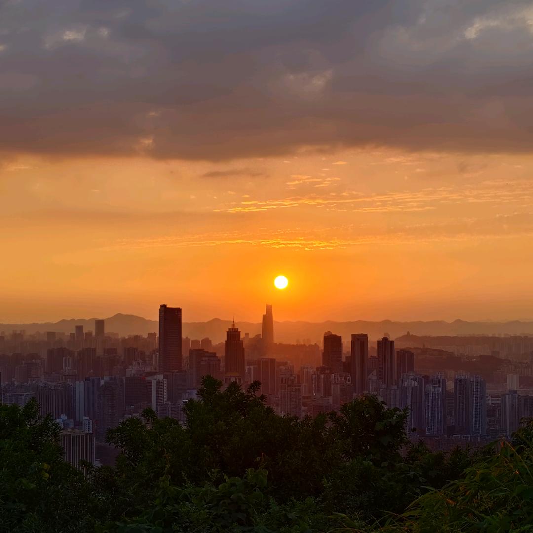 【棕】一只小熊