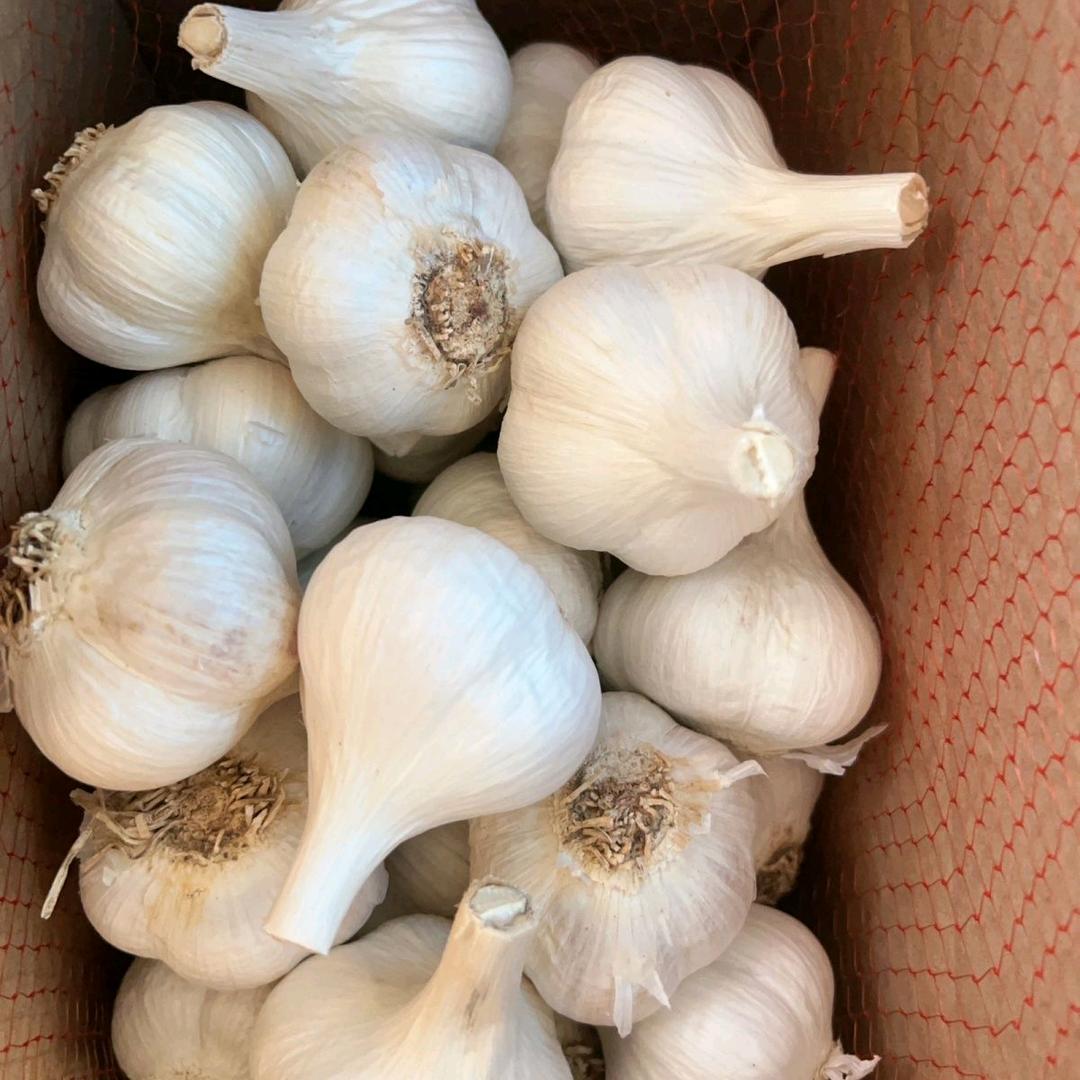 正宗山东苍山精品大蒜