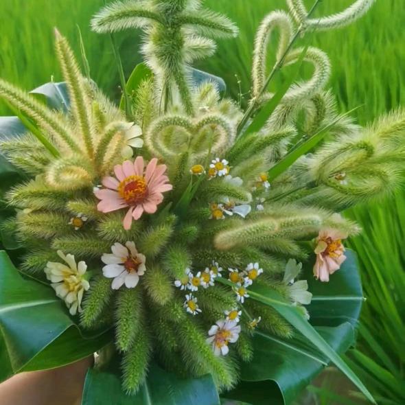 追晚风的人