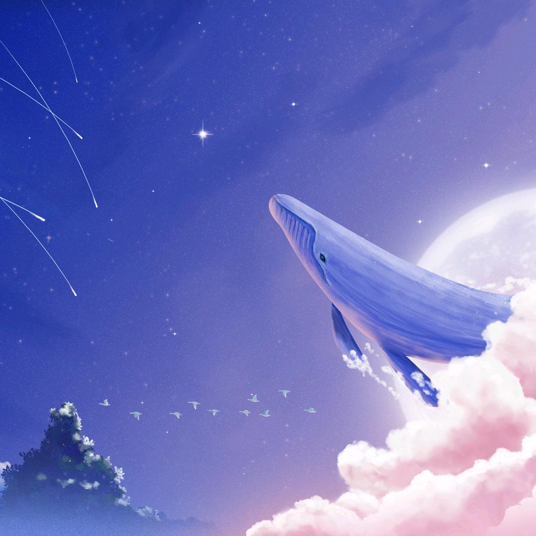 乌鲁木齐搬砖人  唐姐