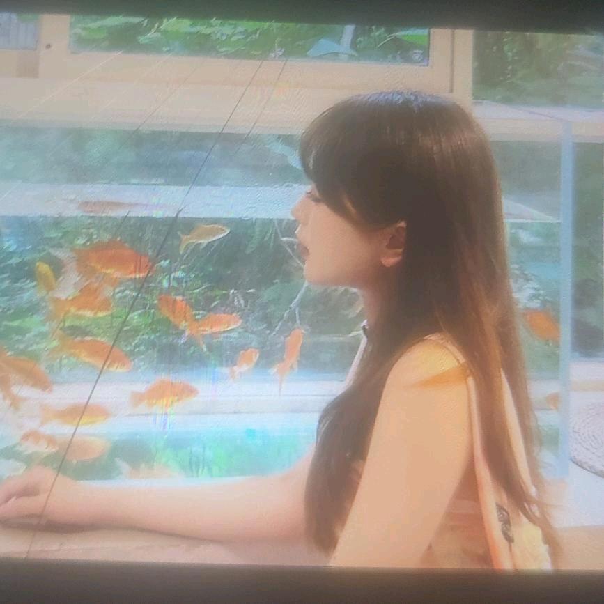 泡沫