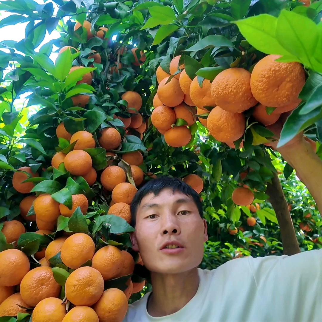 叶小二卖水果